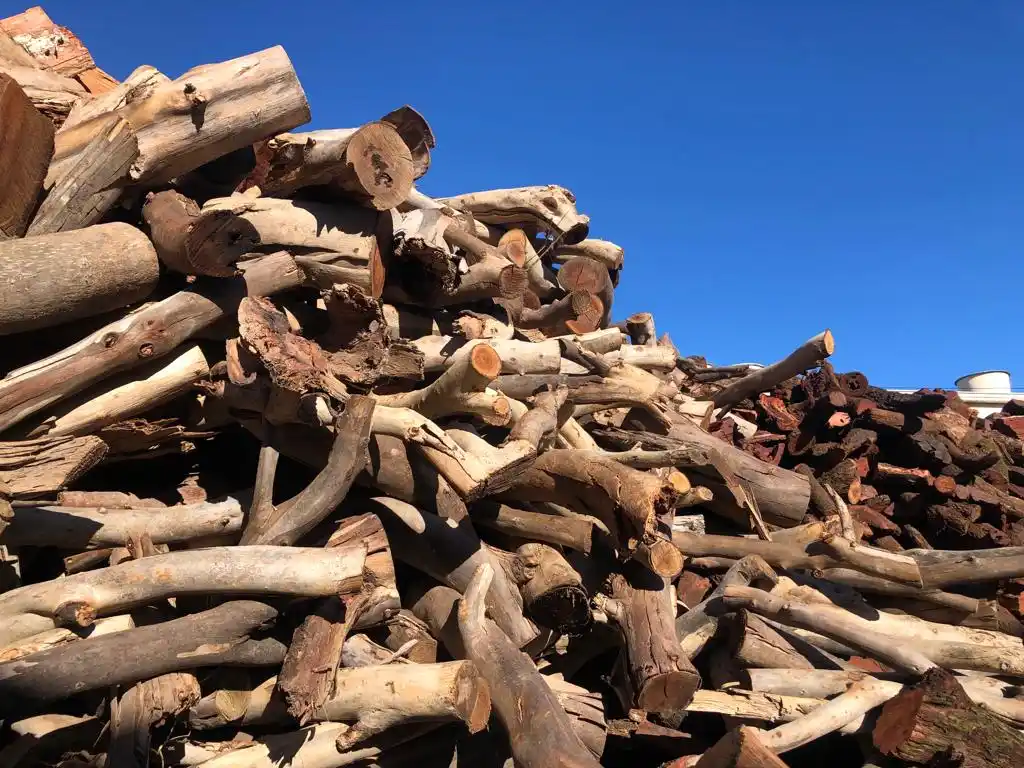 La leña aumentó cerca de un 400 por ciento con respecto al 2023.