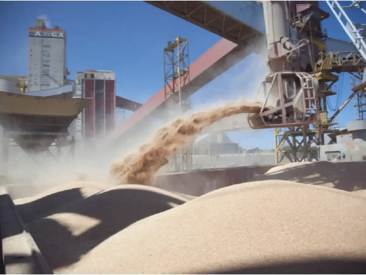 Agroexportadores liquidaron en marzo, el mayor nivel histórico para ese mes