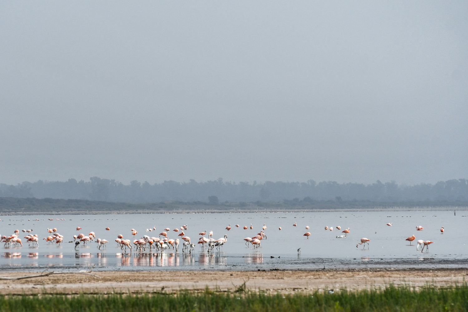 La laguna de Mar Chiquita.