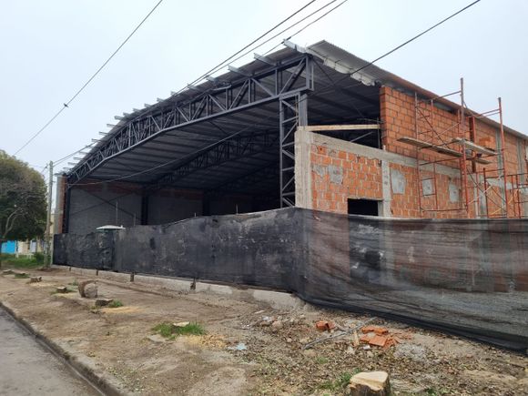 Multarán a quien taló nueve árboles sin autorización