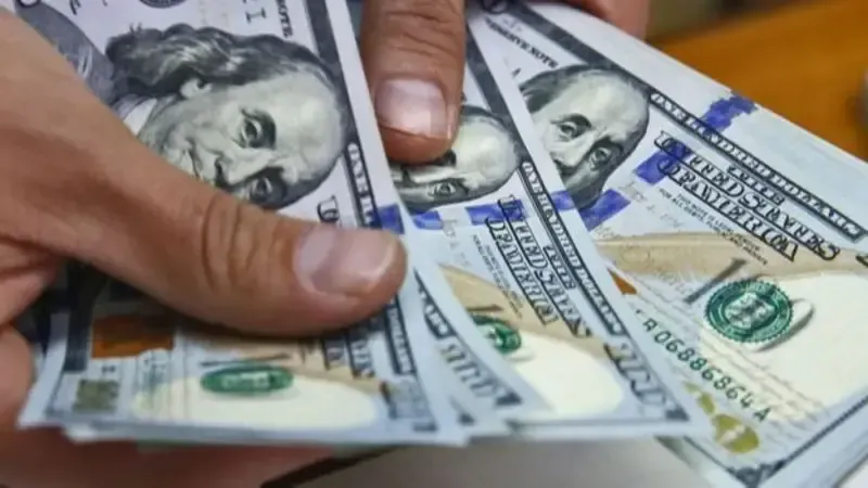 Crisis financiera: el dólar oficial trepa a $1450 y el riesgo país supera los 1200 puntos