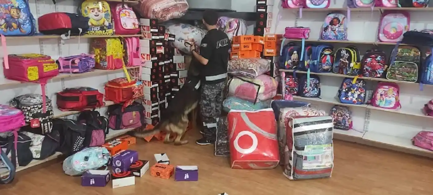 Gran razzia de comercios por comercialización de marcas truchadas