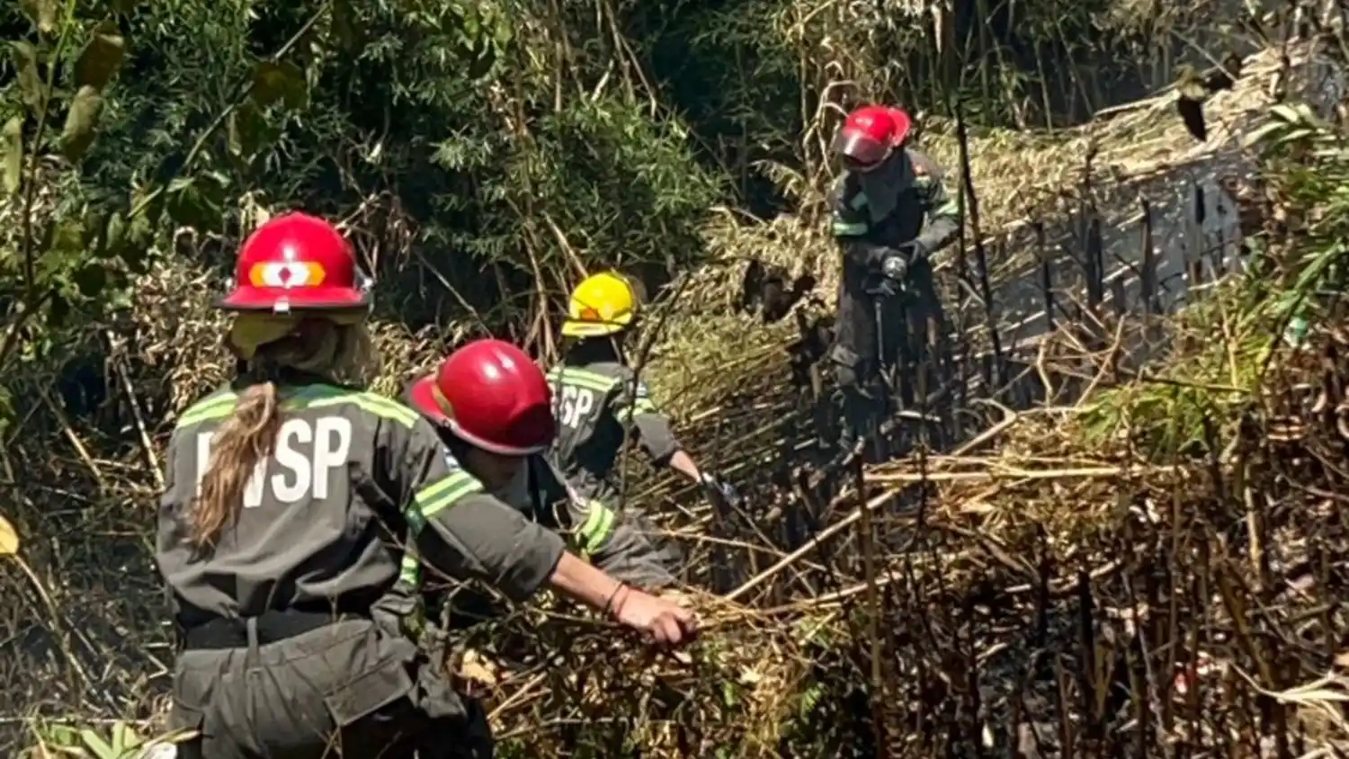 La alta disponibilidad de los combustibles, principalmente del fino, favorece la ignición. Las barrancas es uno de estos sitios.