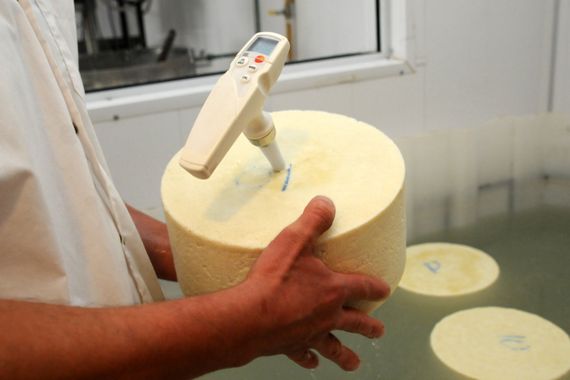 Recomiendan comprar quesos con etiqueta y rótulo para garantizar su origen y calidad