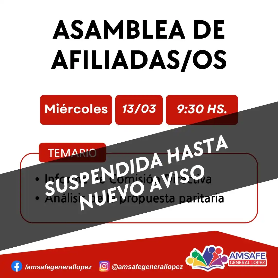 Amsafe suspensión