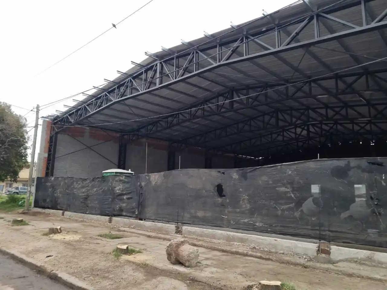 Multa de $ 386 mil a quienes sacaron 9 árboles en 3 de Febrero y José Hernández