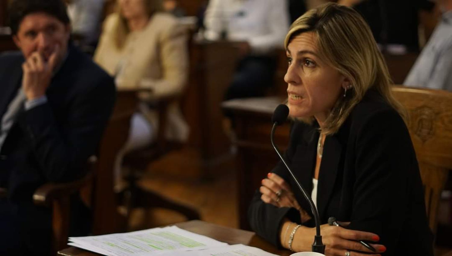 Domenighini le pidió explicaciones al Municipio.