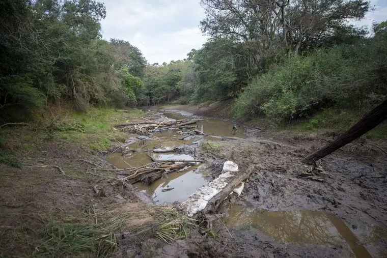 Encontraron más restos óseos cerca del campo del clan Sena