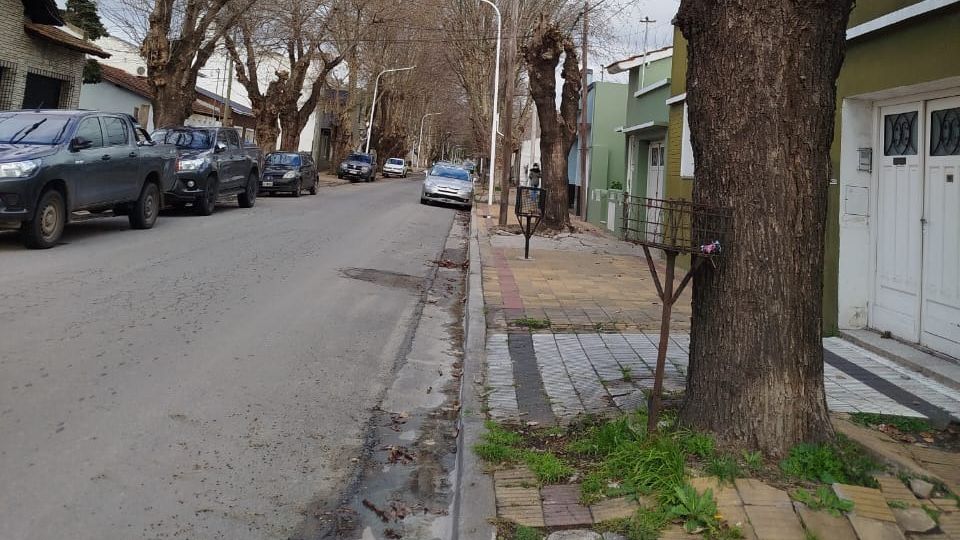 Establecieron "vereda jardín" para calles con árboles de gran porte