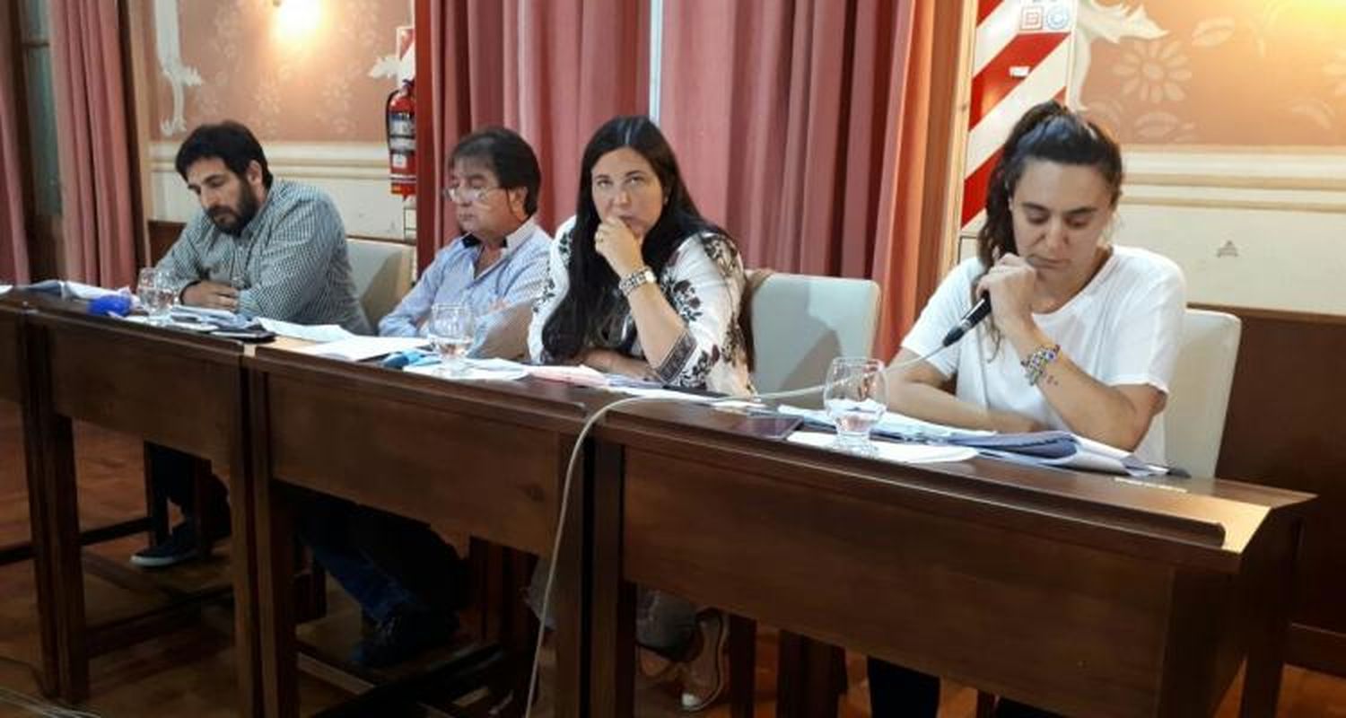 La polémica por los nenes armados pasó por el HCD