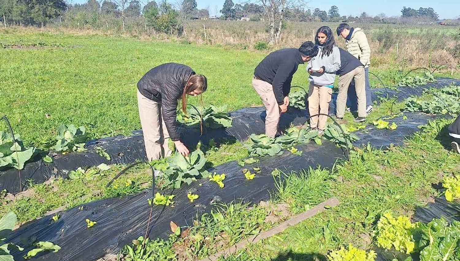 Escuelas agrotécnicas participarán de la Expo Rural en Concordia