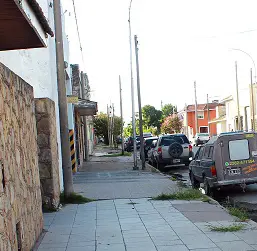 “Un niño, un árbol”, la campaña que viene
