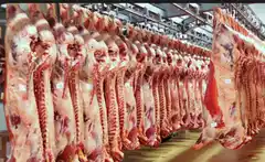 La Cámara Agroindustrial respaldó el programa de cortes de carnes y garantizó la calidad