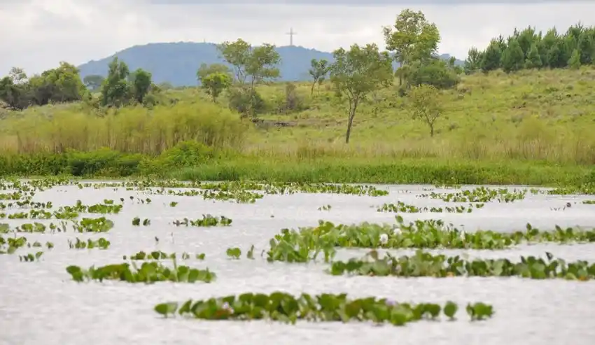 El Gobierno nacional oficializó la creación del Parque Federal Campo San Juan