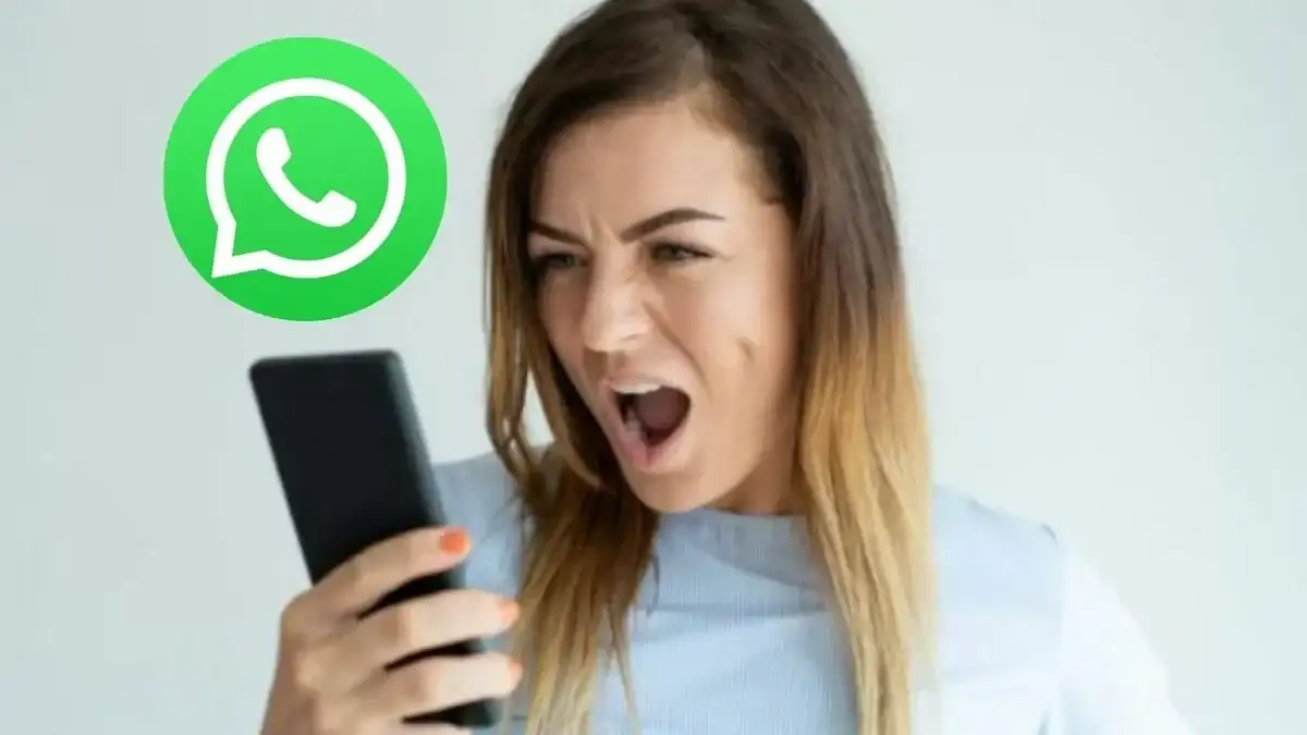 WhatsApp deja de funcionar - 6