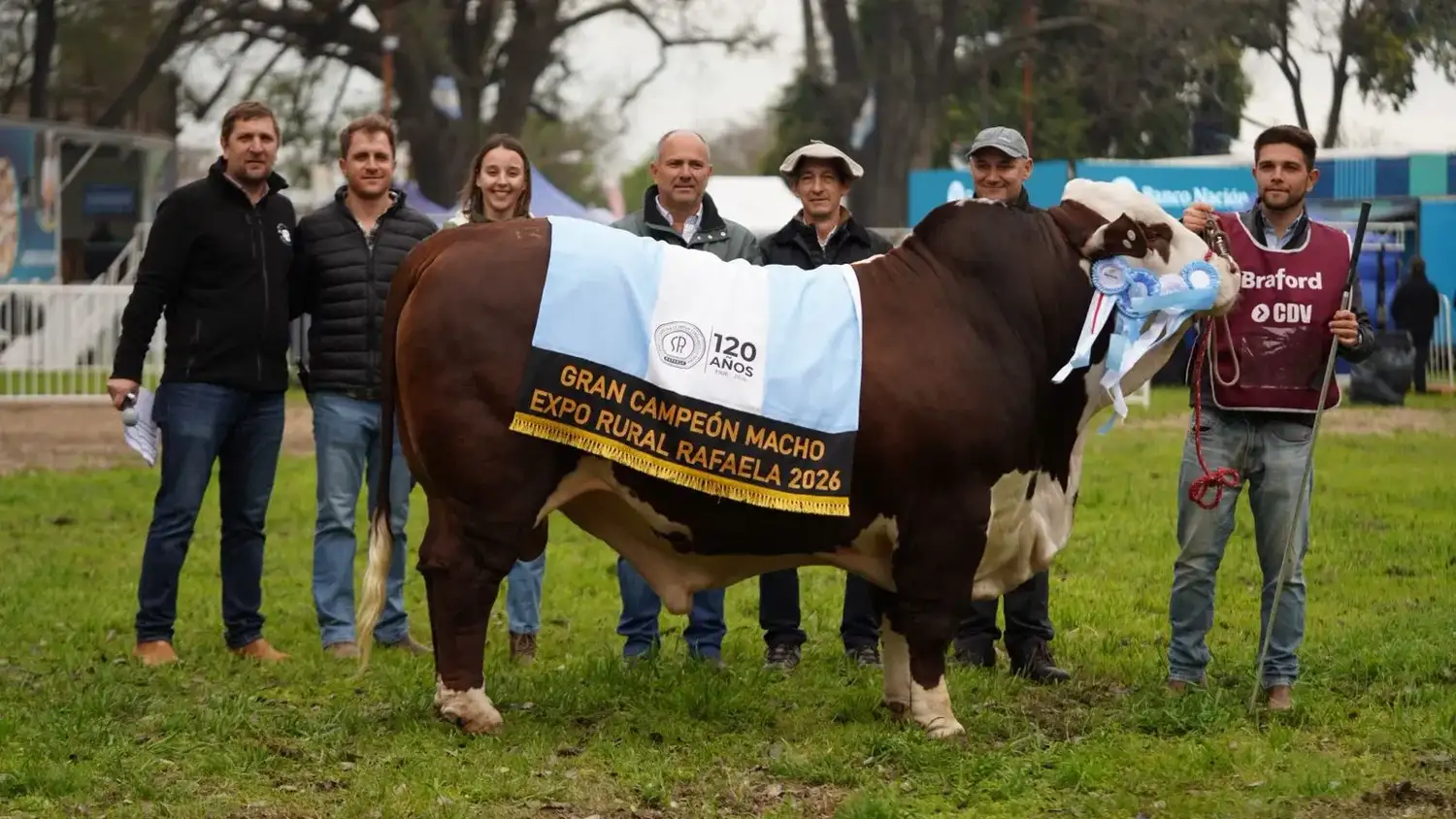 Braford hizo su primera jura oficial en la ExpoRural de Rafaela y apuesta a seguir creciendo en la región - 6