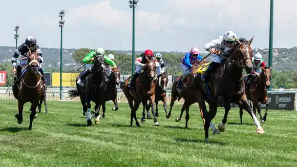 Viernes 5: Actividad Hipódromo de San Isidro