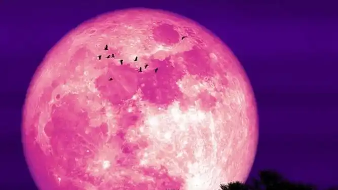 Llega la Superluna de Fresa de junio: a qué hora será en Argentina y desde dónde se podrá ver