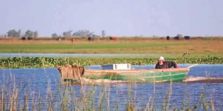 El Humedal Entrerriano “está en un fino y delicado equilibrio y hay que preservarlo porque brinda varios servicios ecosistémicos”