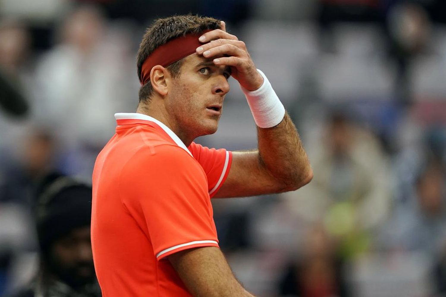 Juan Martín Del Potro se bajó de otro certamen