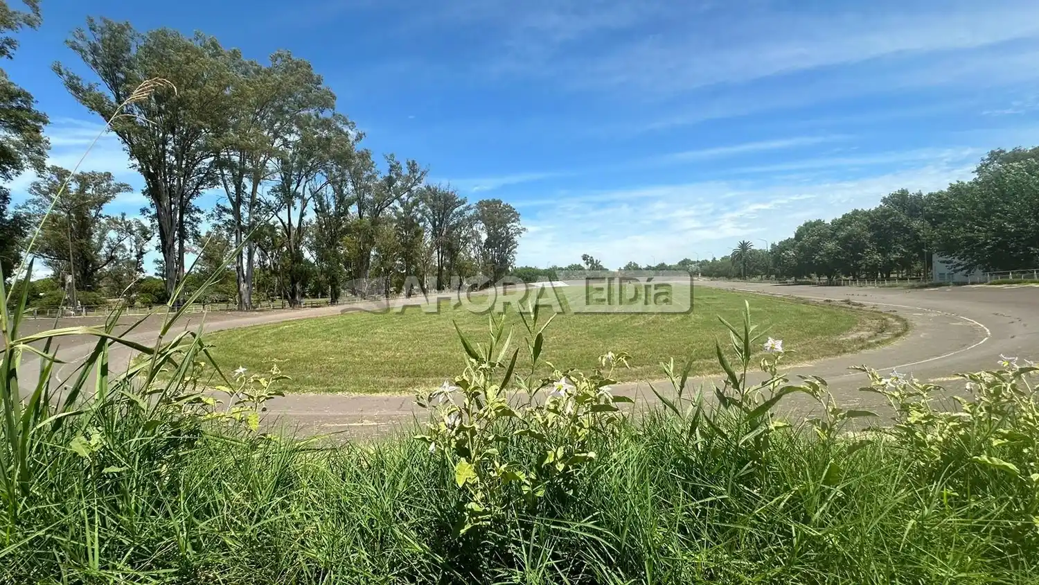 Fotos: Mauricio Ríos