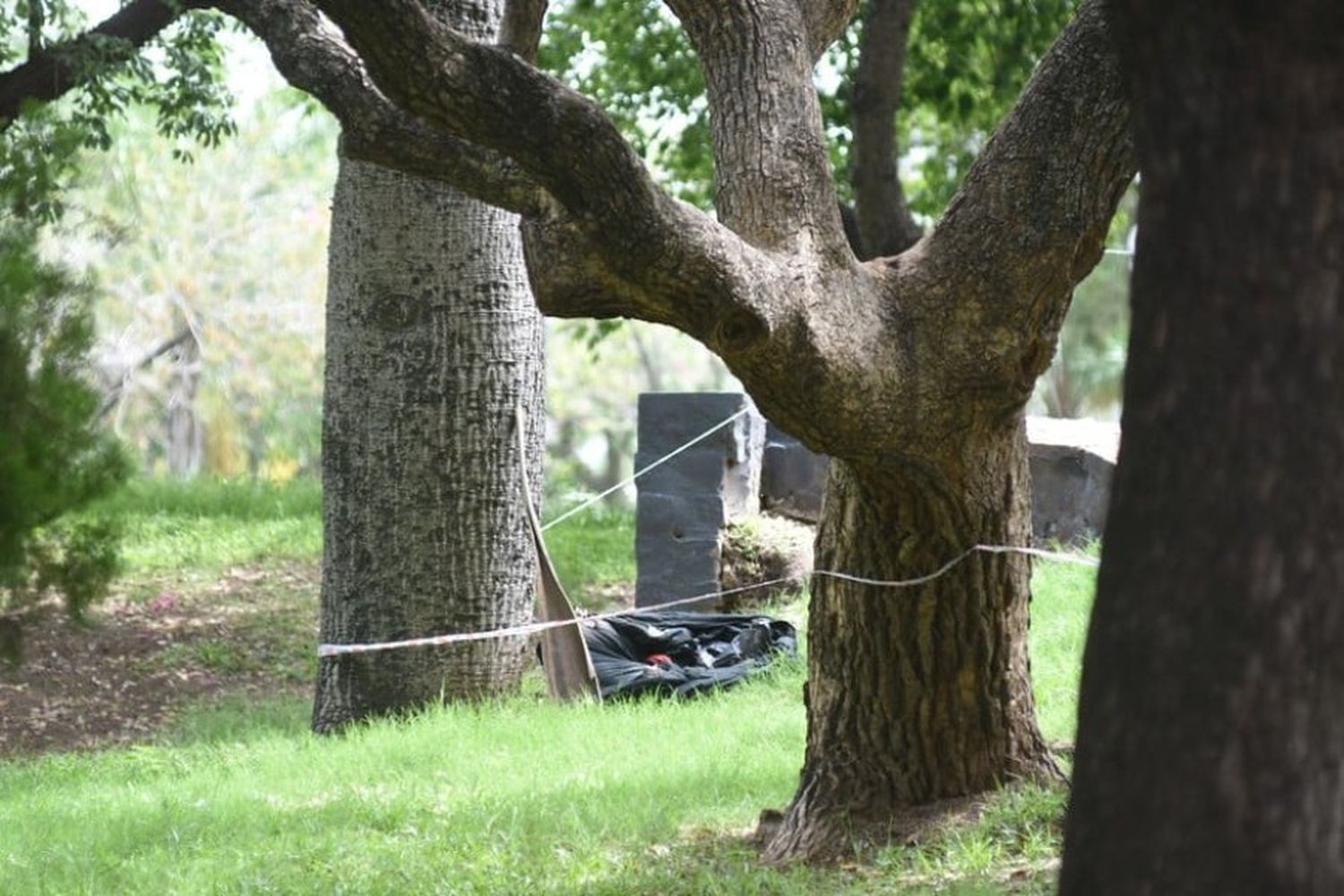 Santa Fe: encontraron un cadáver desmembrado en la Plaza Escalante