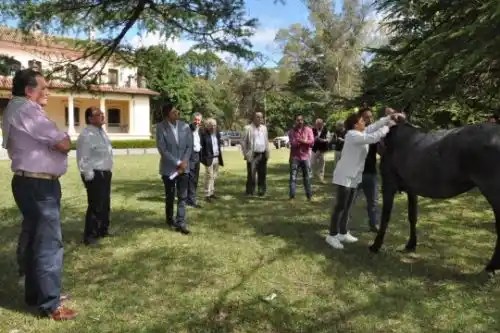 Provincia analizó la implementación del «DNI» equino y la prevención del abigeato