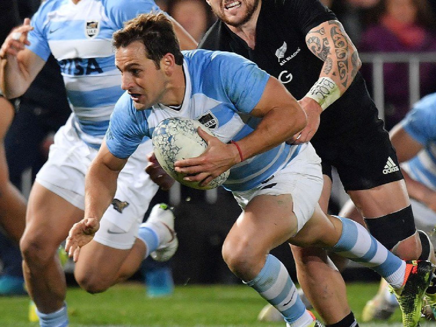 Los Pumas debutan en el Rugby Championship