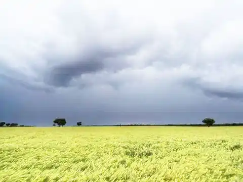 Clima y finanzas: hubo lluvias clave en la región núcleo