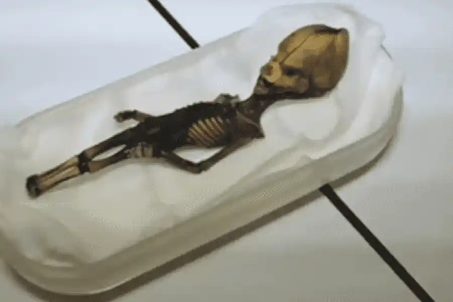 Encontraron un pequeño esqueleto en el desierto de Atacama: podría ser un humanoide nocturno y no un "alienígena"