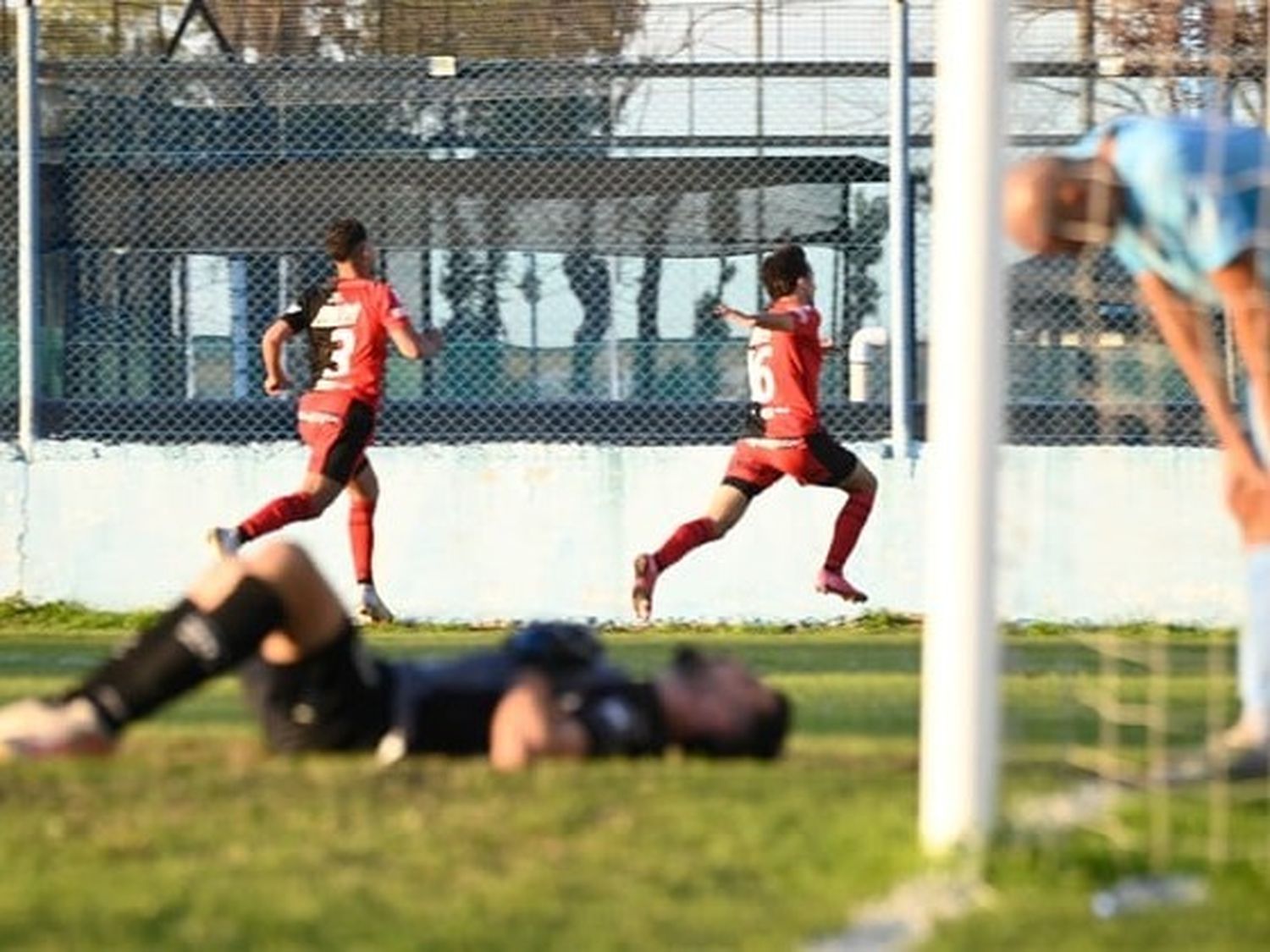 colon primera nac