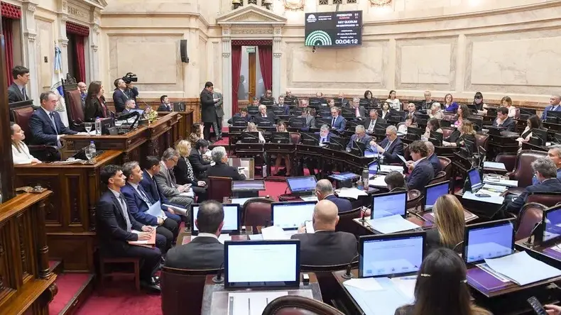 El Senado de la Nación le dio un nuevo revés al gobierno de Javier Milei.
