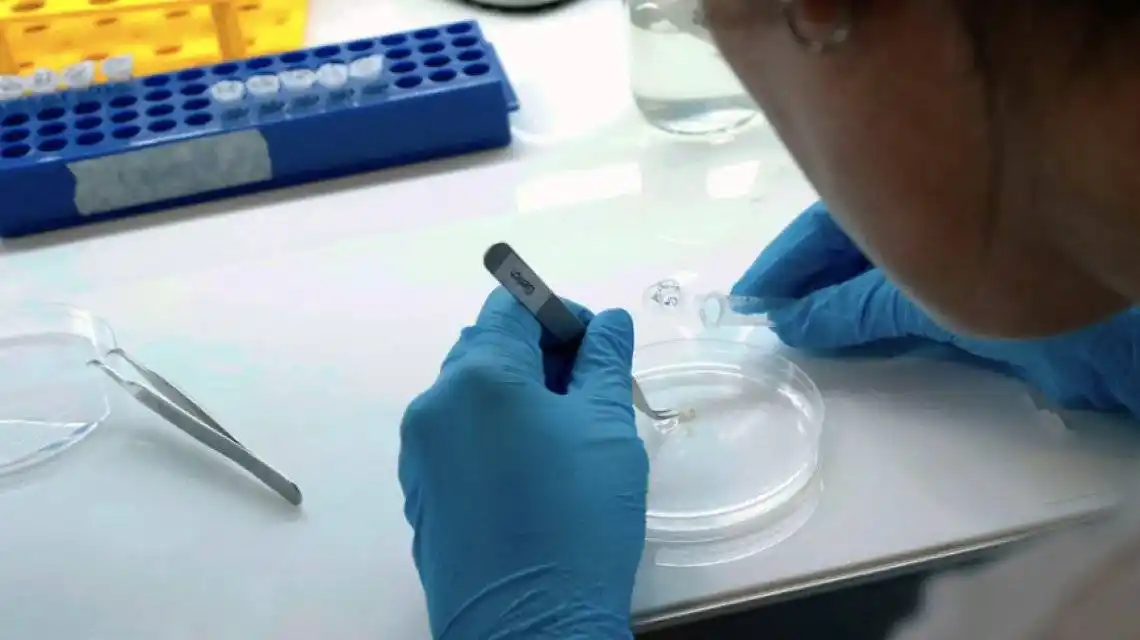 El primer niño con coronavirus de Argentina: uno de los últimos casos confirmados