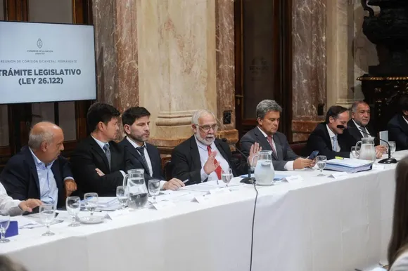 Obtuvo dictamen un proyecto de ley que busca tipificar el delito de compraventa de niños