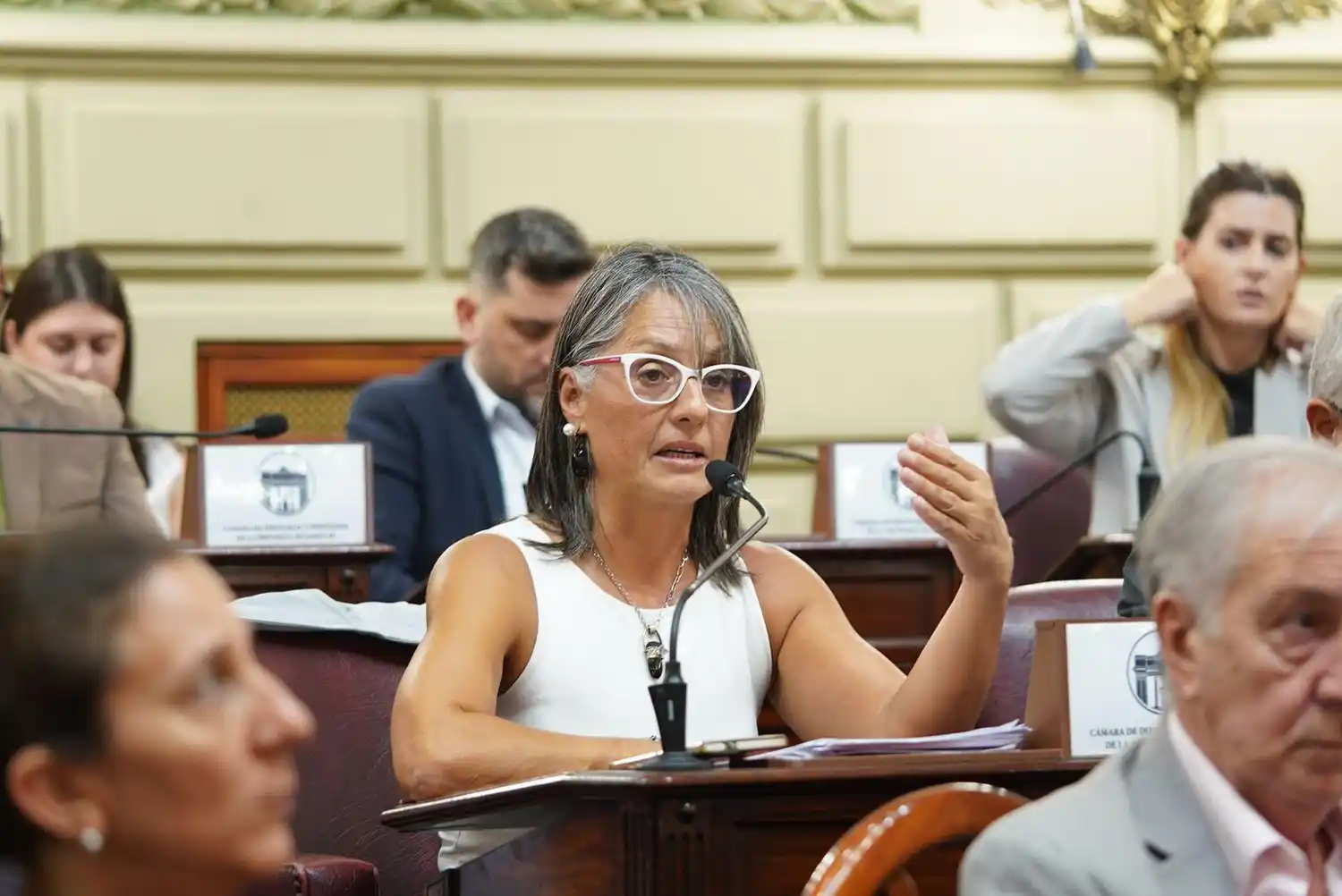 La legislatura destituyó al fiscal Gerosa por mal desempeño: “Garantizó la impunidad de agresores sexuales y homicidas”
