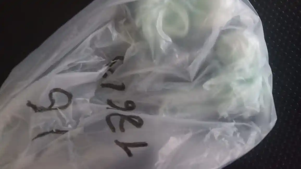 Detuvieron a una joven con droga oculta en su ropa interior en la cárcel de la zona sudoeste