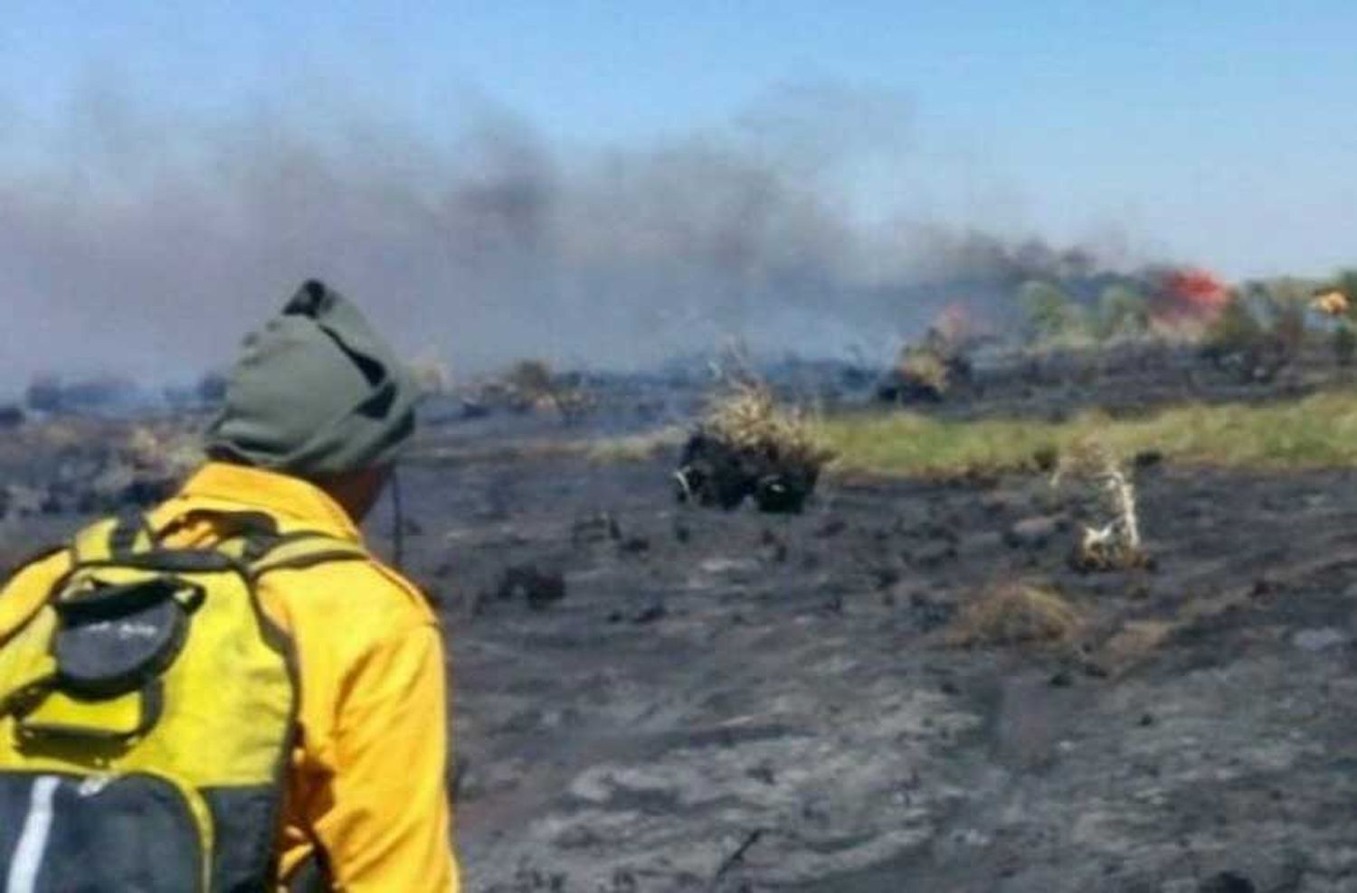 Bomberos intervinieron en más de 40 incendios en un día récord