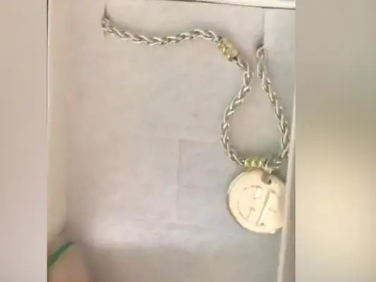Buscan collar extraviado
