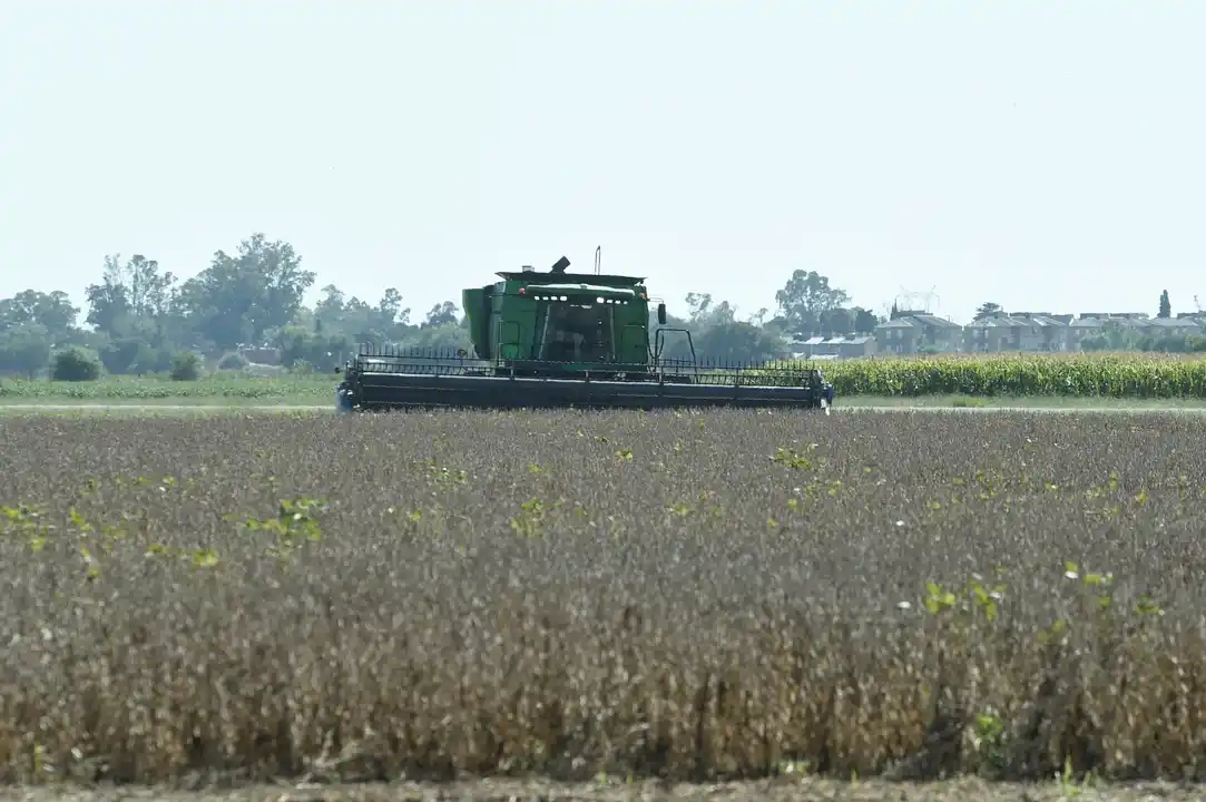 La economía argentina acumula once meses consecutivos de crecimiento