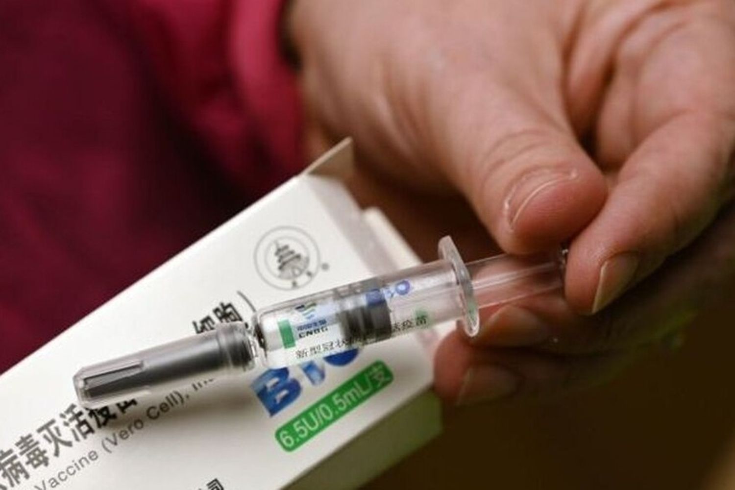 Anmat autorizó la aplicación de la vacuna Sinopharm para mayores de 60 años