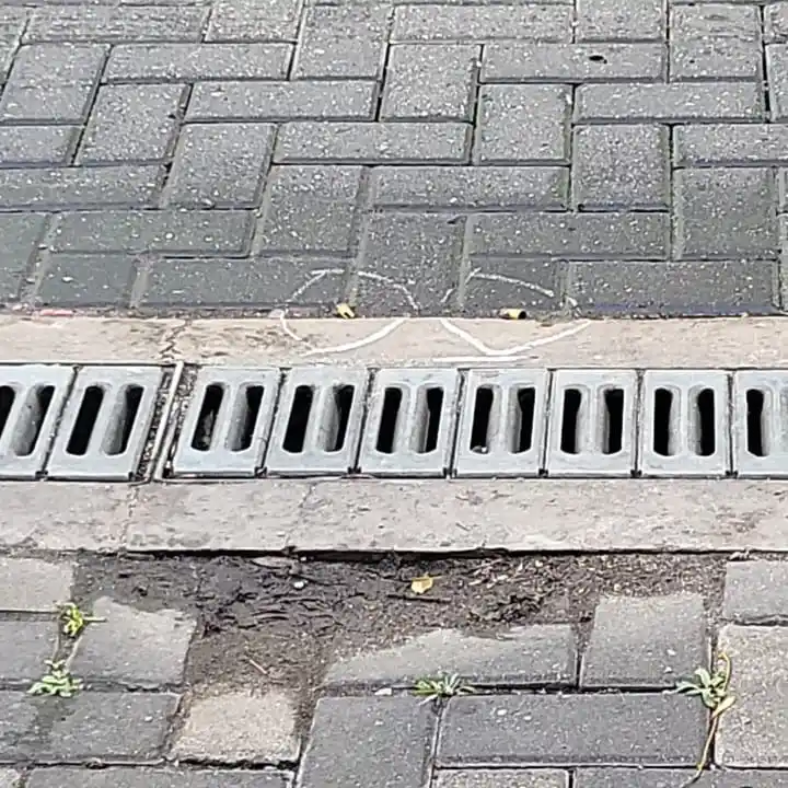 Hallaron más de 50 vainas servidas en pleno microcentro de Rosario