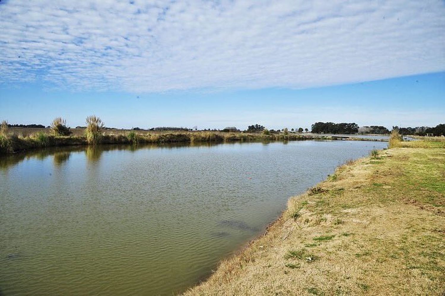 Castelli: comienzan los trabajos de limpieza de Laguna La Rosita