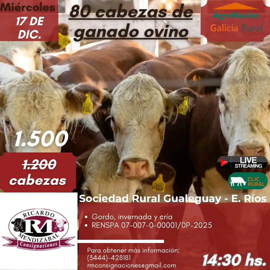 Gran Remate de Mendizábal en Gualeguay y repaso del último encuentro ganadero