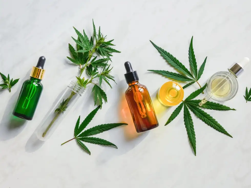 Novedades sobre el cannabis medicinal.