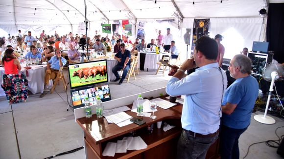 Rústicos: mucho más que un remate de vacas