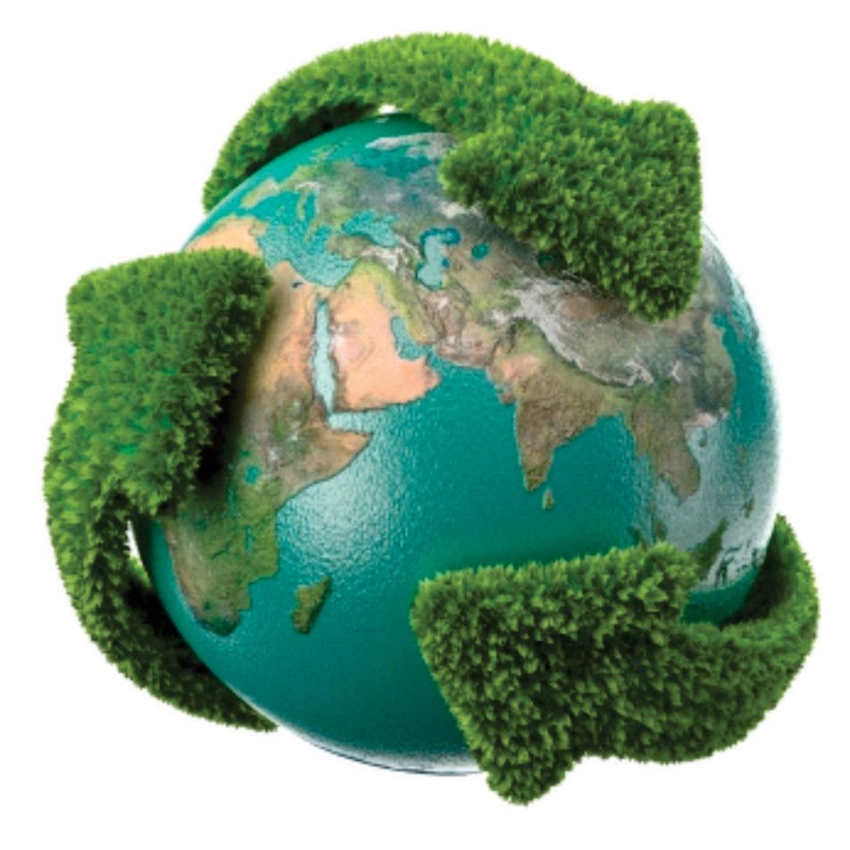 La alteración del equilibrio ecológico favorece que se propaguen nuevas enfermedades