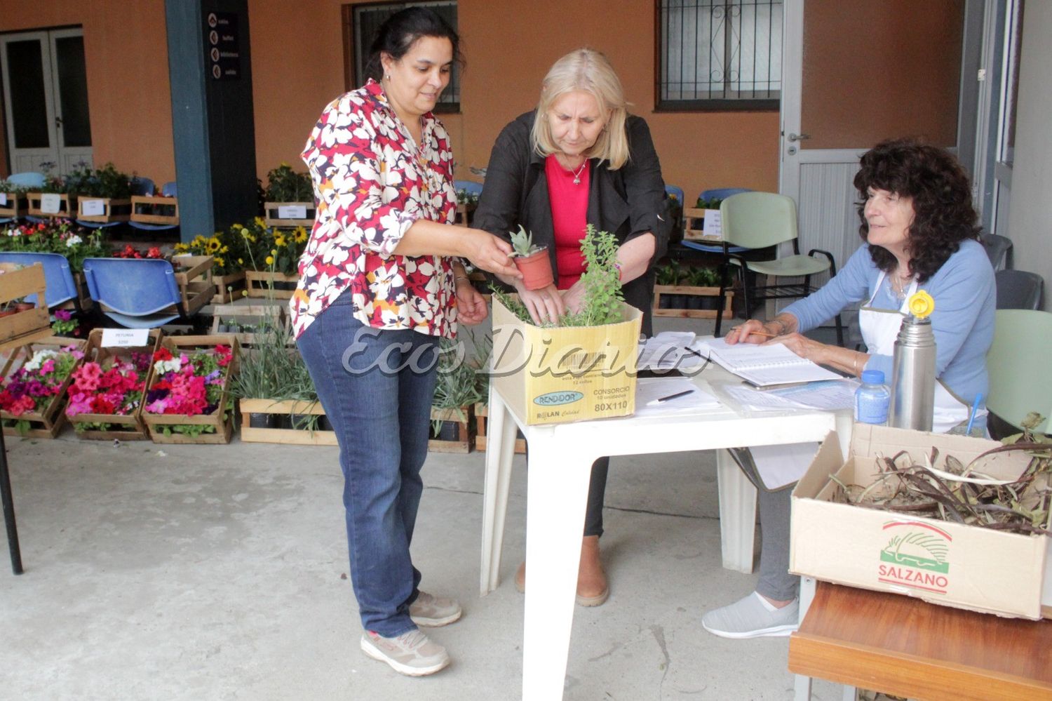 Venta de plantines