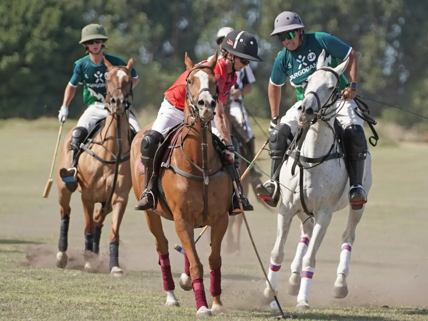 Torneo "Las Lechuzas" - Polo