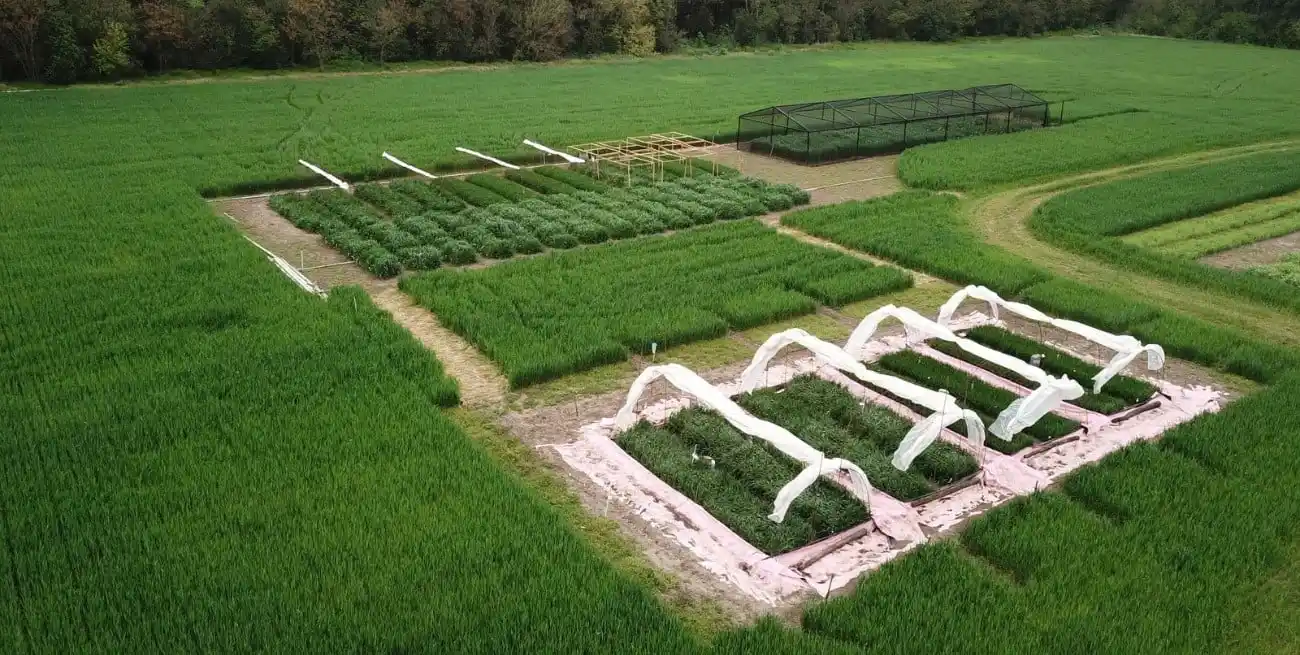 La producción de alimentos debe resolver la amenaza concreta de eventos extremos que se materializan cada vez con mayor frecuencia.