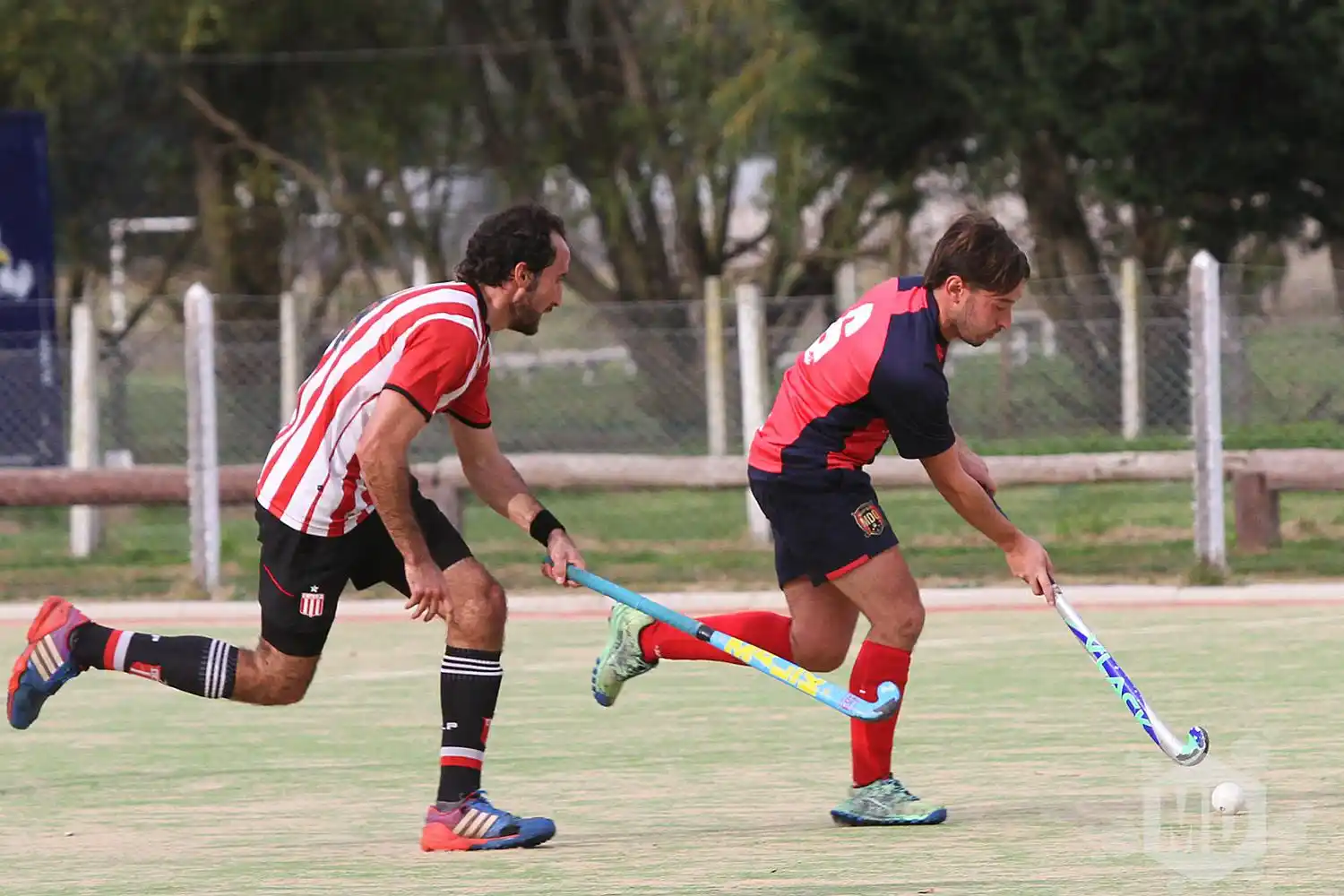 MDQ 06 viaja con cuatro cambios